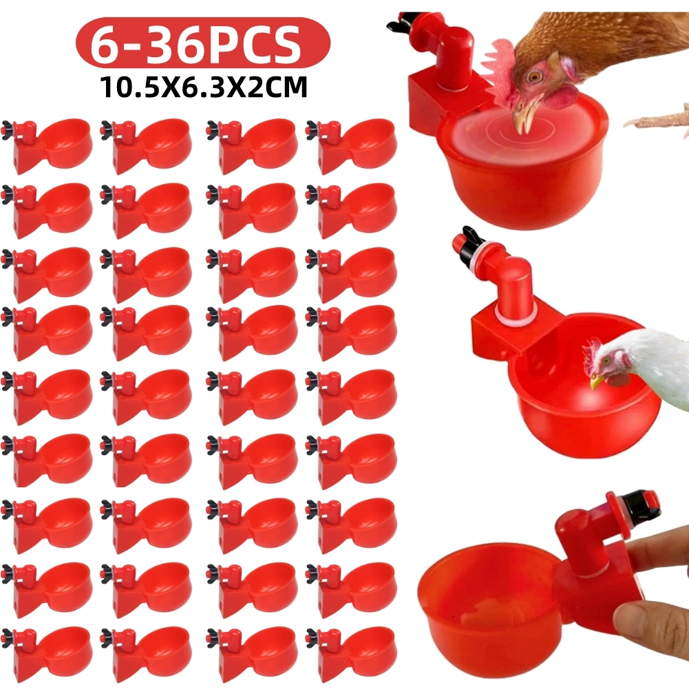 Chicken Nipple Drinker - Gobelet à boire en plastique jetable