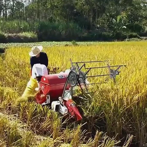 Combine Harvester Mini - Nouvelle Machine automatique de récolte de
