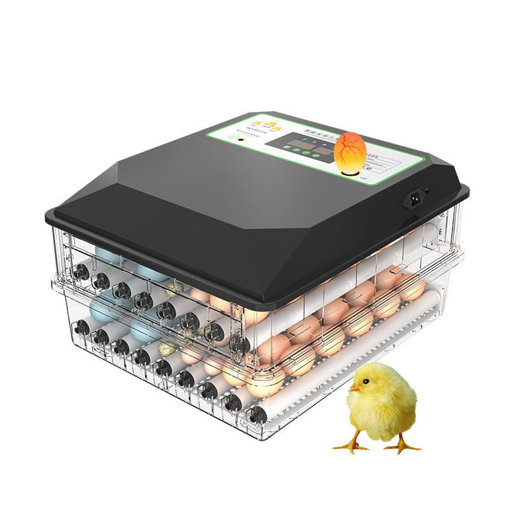 Poultry Incubator - Incubateur d'œufs automatique polyvalent pour volailles,