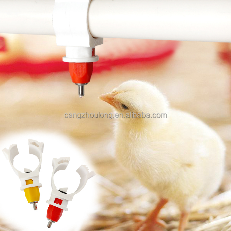 Chicken Nipple Drinker - YYW LM44 Meilleure vente Abreuvoir automatique