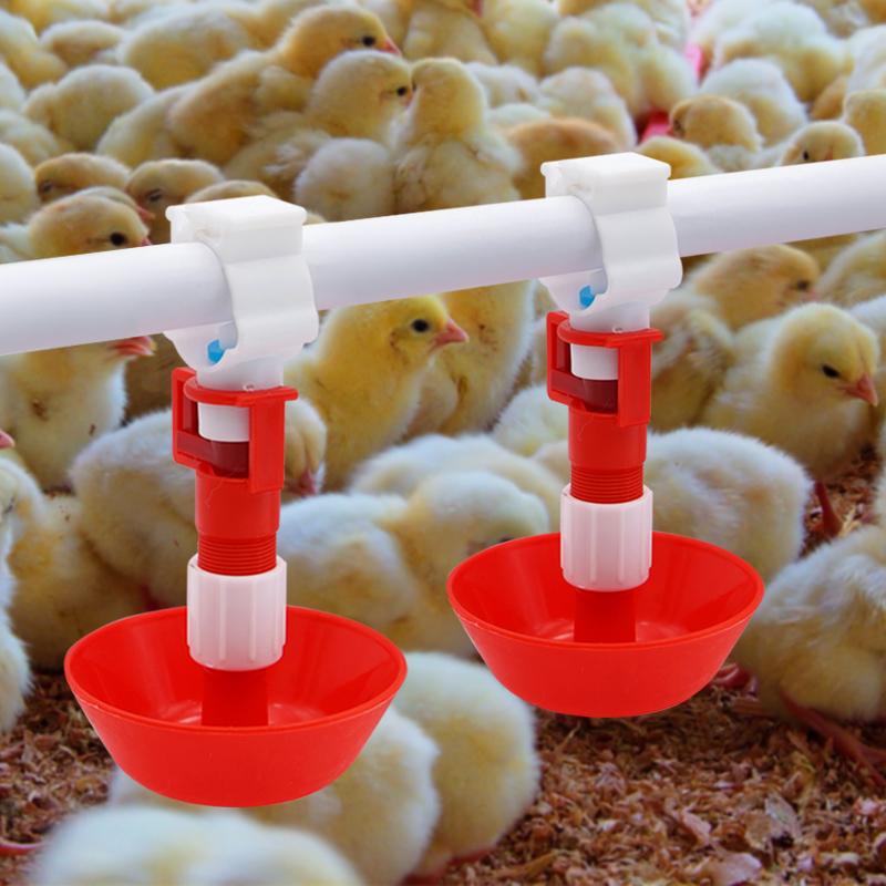 Chicken Nipple Drinker - 5/10/20 pièces automatique poulet eau mamelon