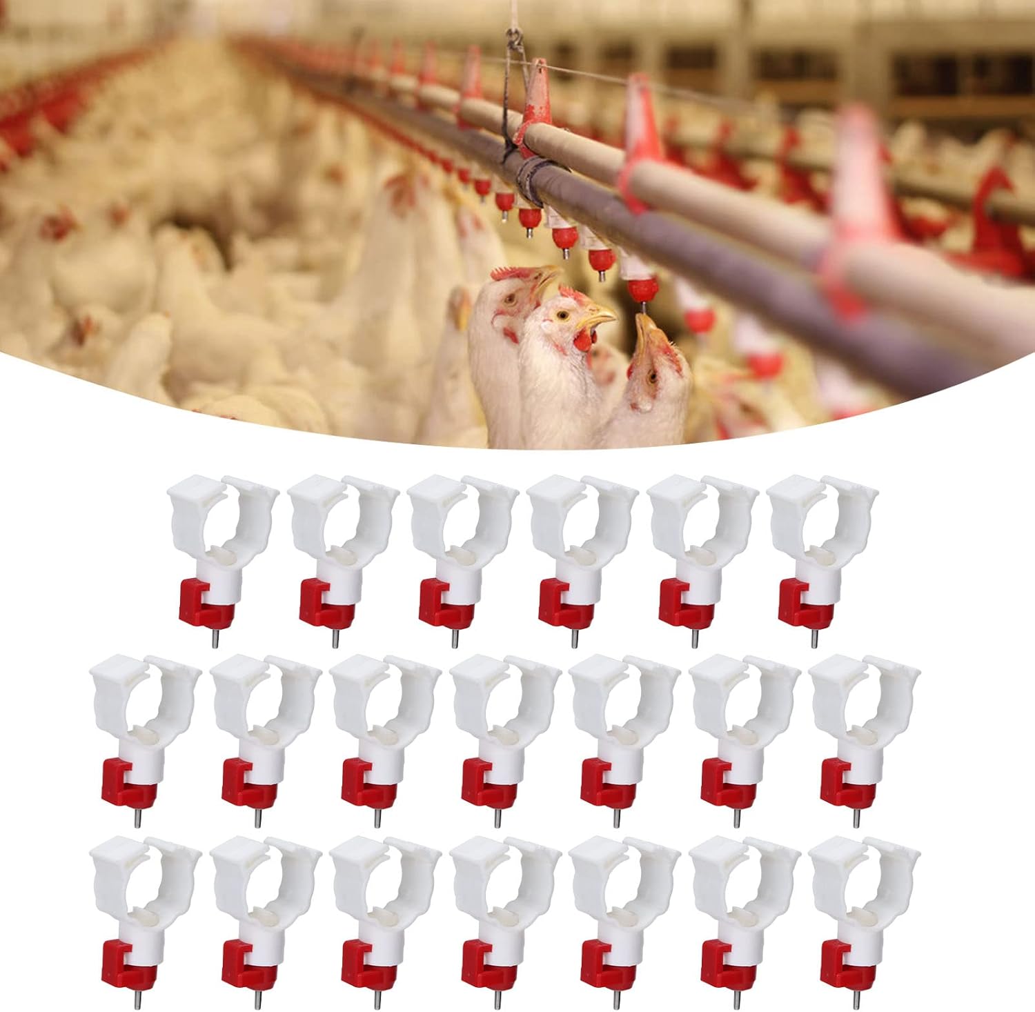 Chicken Nipple Drinker - Abreuvoir automatique pour mamelon de poulet,