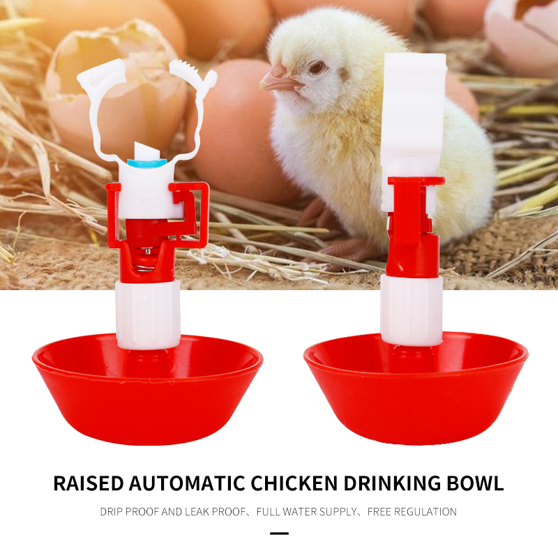 Chicken Nipple Drinker - Abreuvoir automatique jetable pour oiseaux, bol