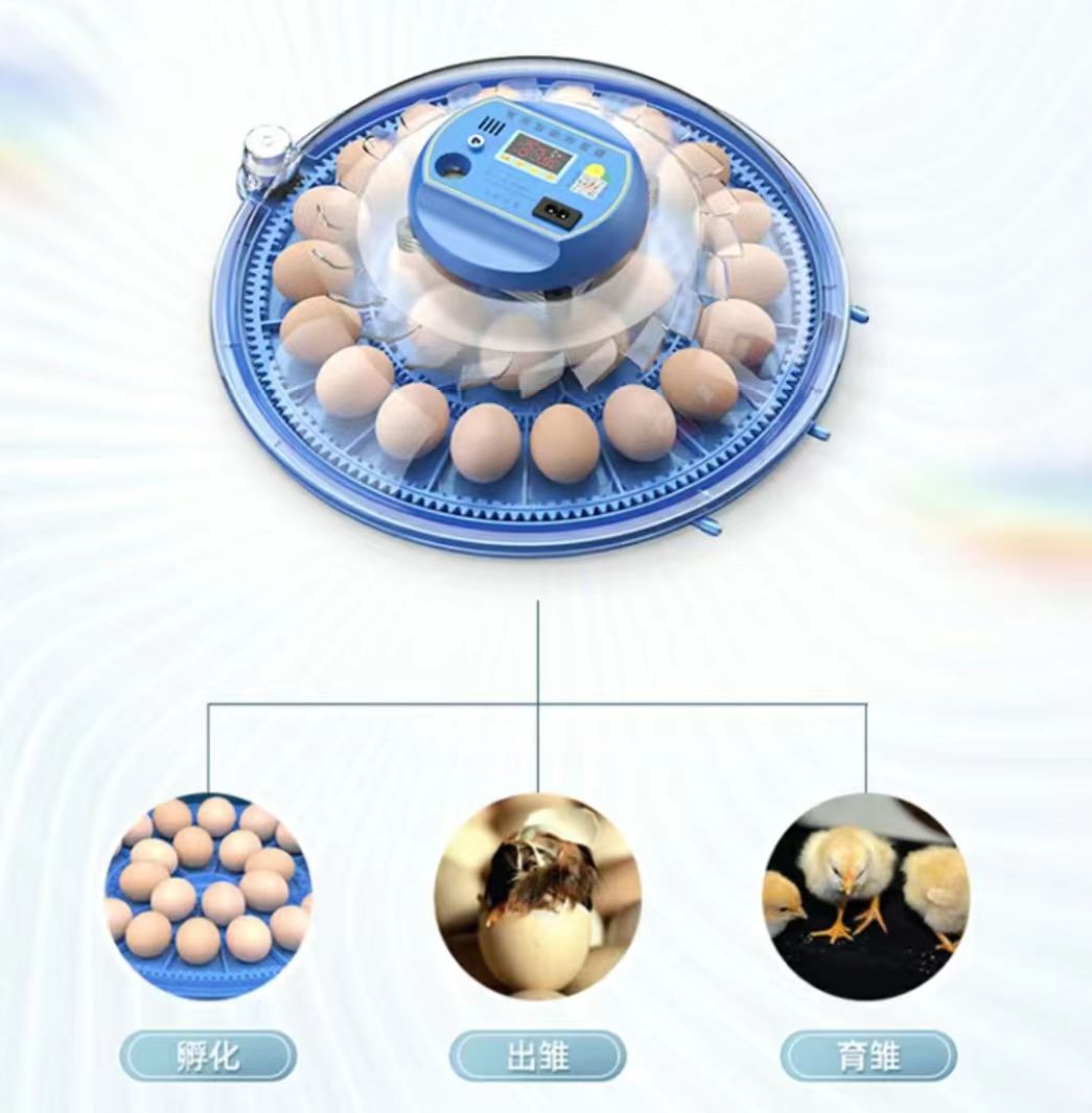 Poultry Incubator - Incubateur d'œufs de poulet 20/24/36/56/96/112 œufs,