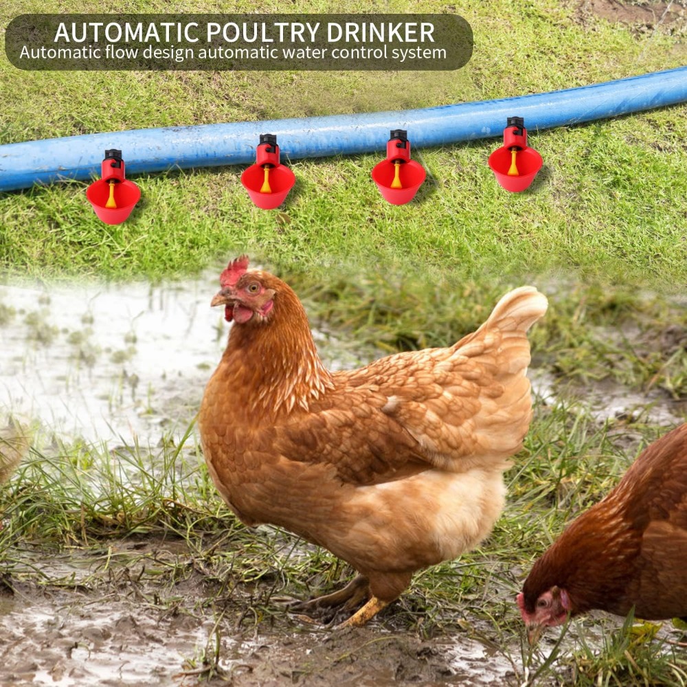 Distributeur d'Eau Jetable exi - Chicken Nipple Drinker avis et prix