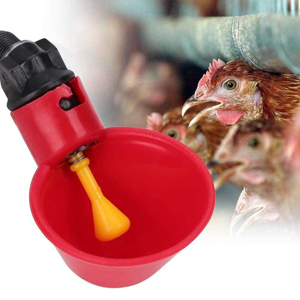 Distributeur d'Eau Jetable exi - Chicken Nipple Drinker avis et prix