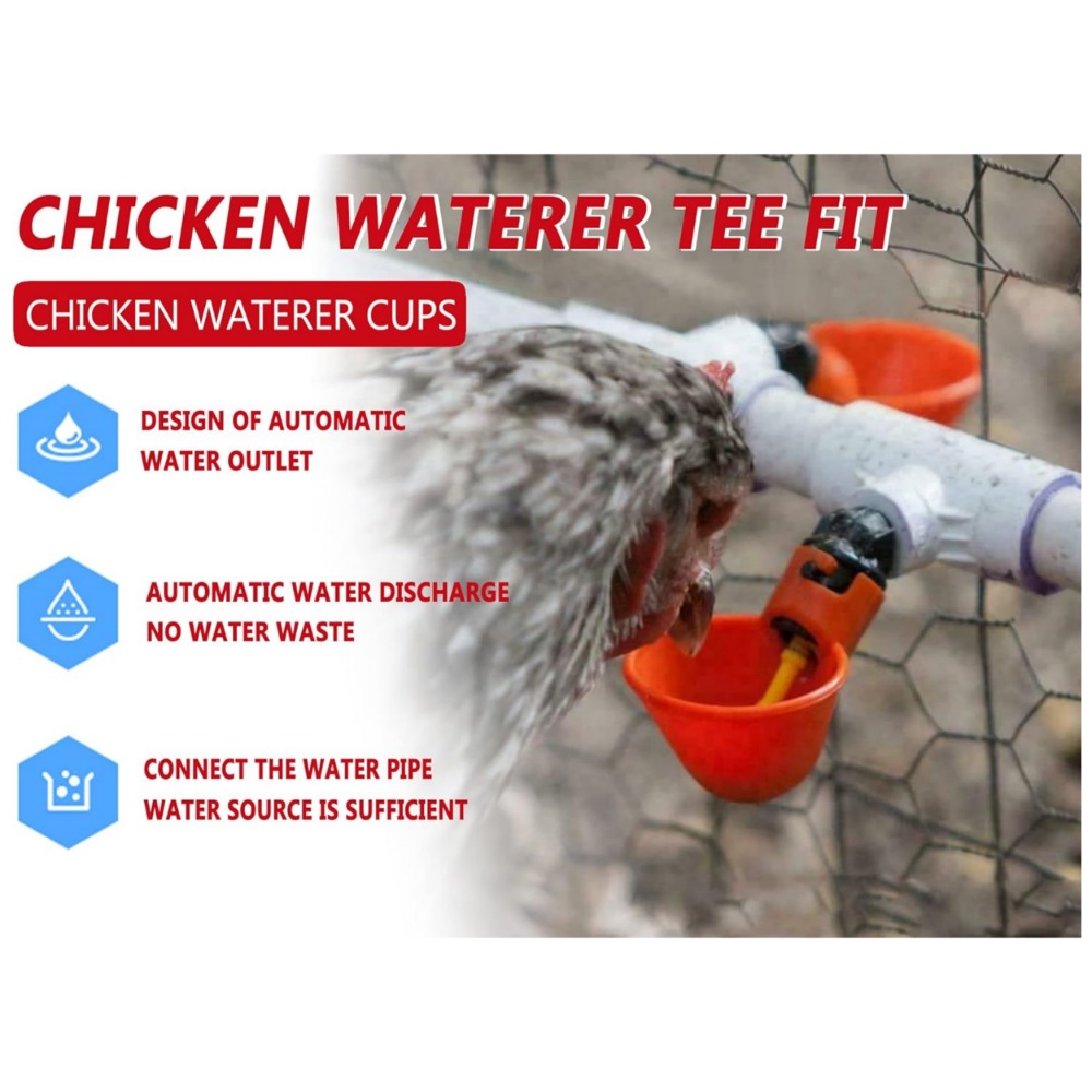 Distributeur d'Eau Jetable exi - Chicken Nipple Drinker avis et prix