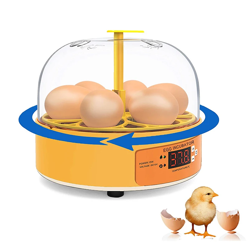 Incubateur d'élevage pour poul - Poultry Incubator avis et prix