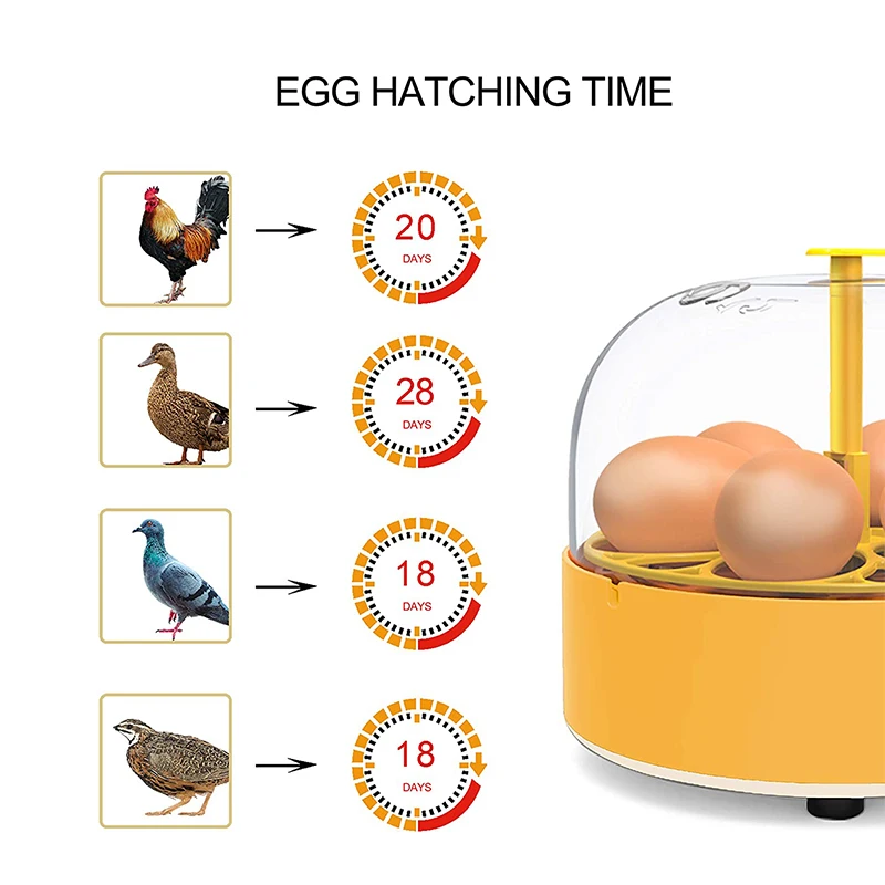 Incubateur d'élevage pour poul - Poultry Incubator avis et prix