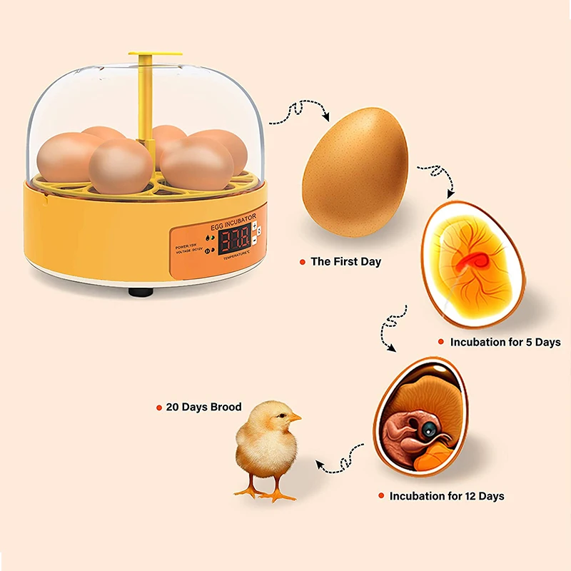 Incubateur d'élevage pour poul - Poultry Incubator avis et prix