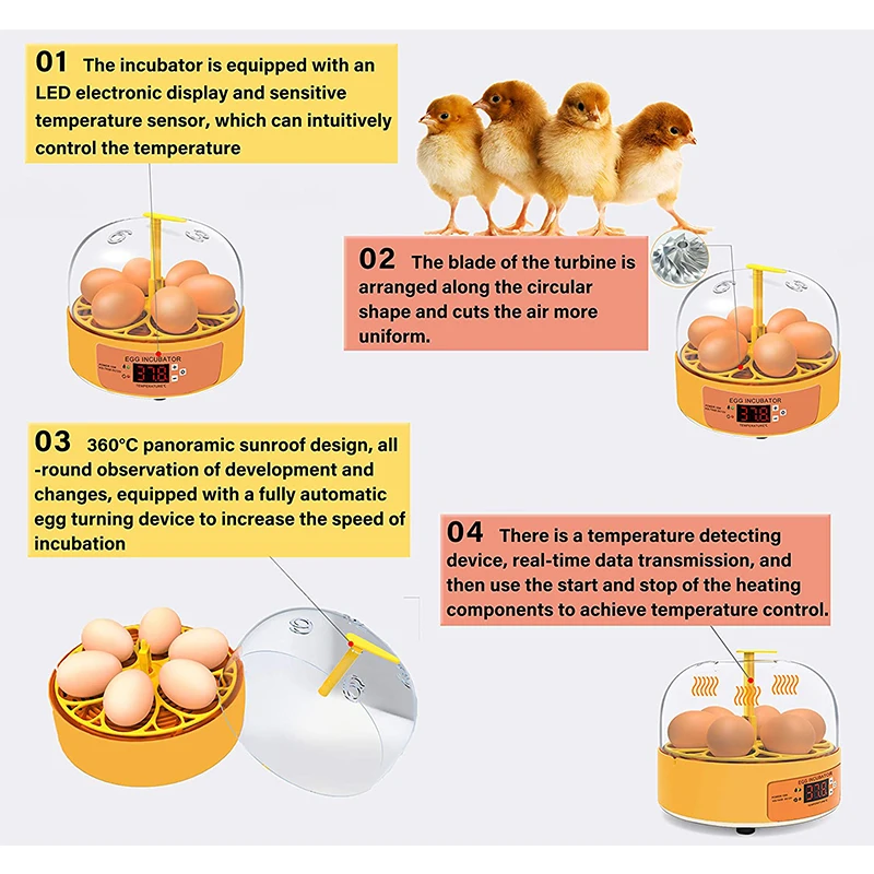 Incubateur d'élevage pour poul - Poultry Incubator avis et prix