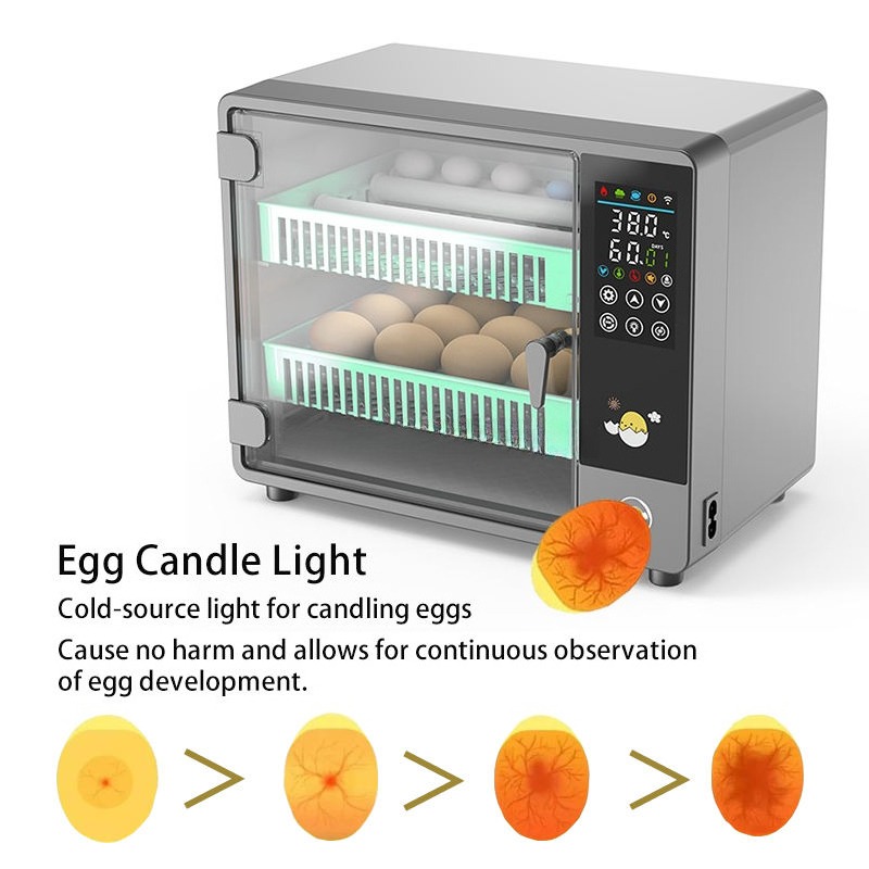 Incubateur d'œufs entièrement  - Poultry Incubator avis et prix