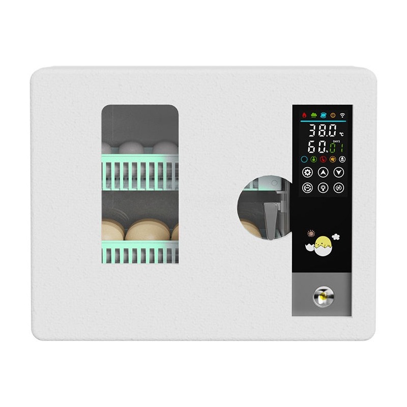 Incubateur d'œufs entièrement  - Poultry Incubator avis et prix