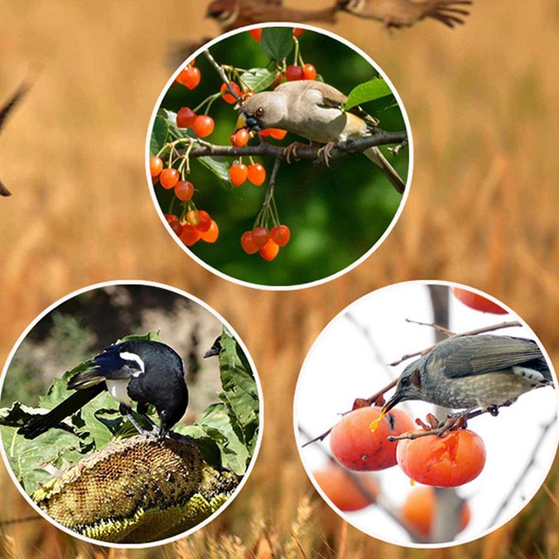 Répulsif pour oiseaux à minute - Solar Bird Scarer avis et prix