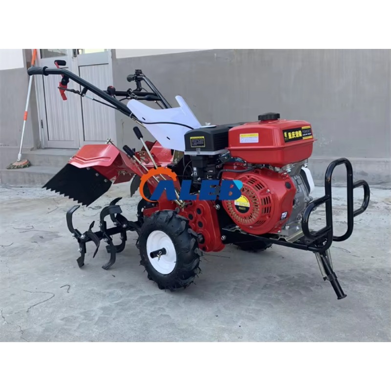 Mini motoculteur professionnel - Agriculture Farming Professional avis et prix