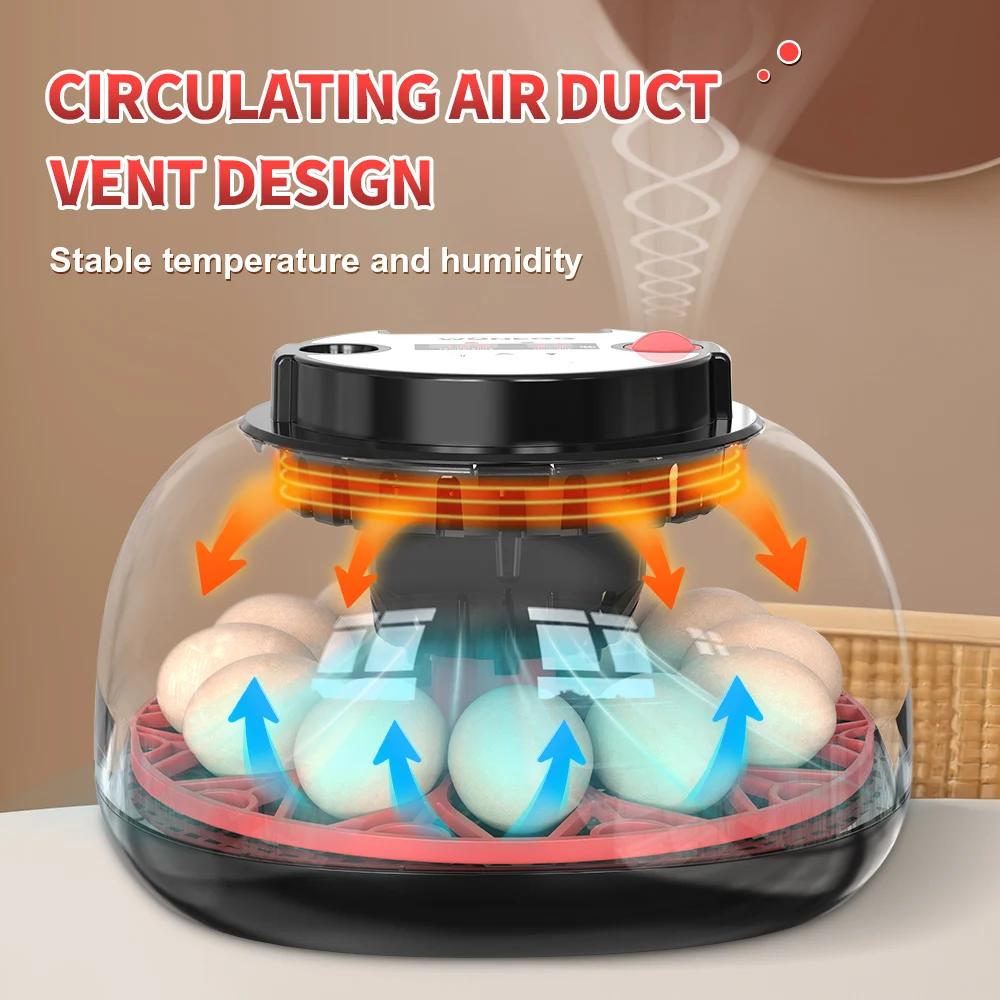 Incubateur automatique à 12 œu - Poultry Incubator avis et prix
