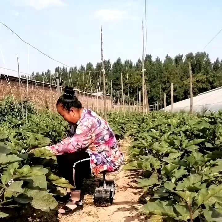 Banc de travail pivotant à 360 - Agriculture Farming Degree avis et prix