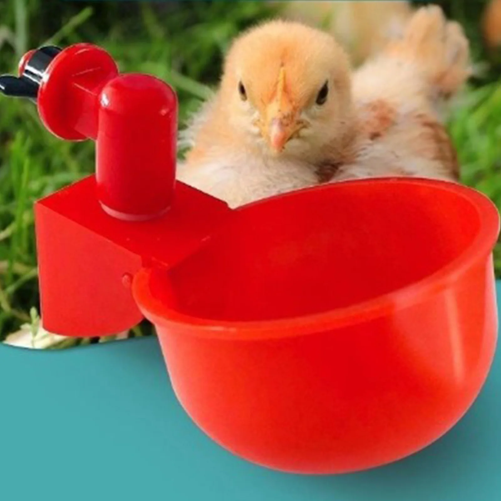 Gobelet à boire en plastique j - Chicken Nipple Drinker avis et prix