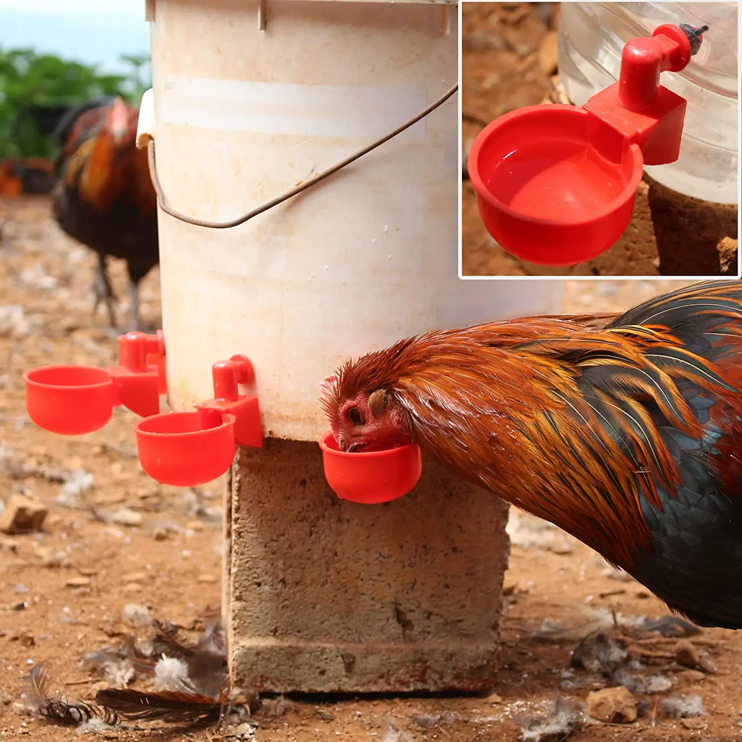 Gobelet à boire en plastique j - Chicken Nipple Drinker avis et prix