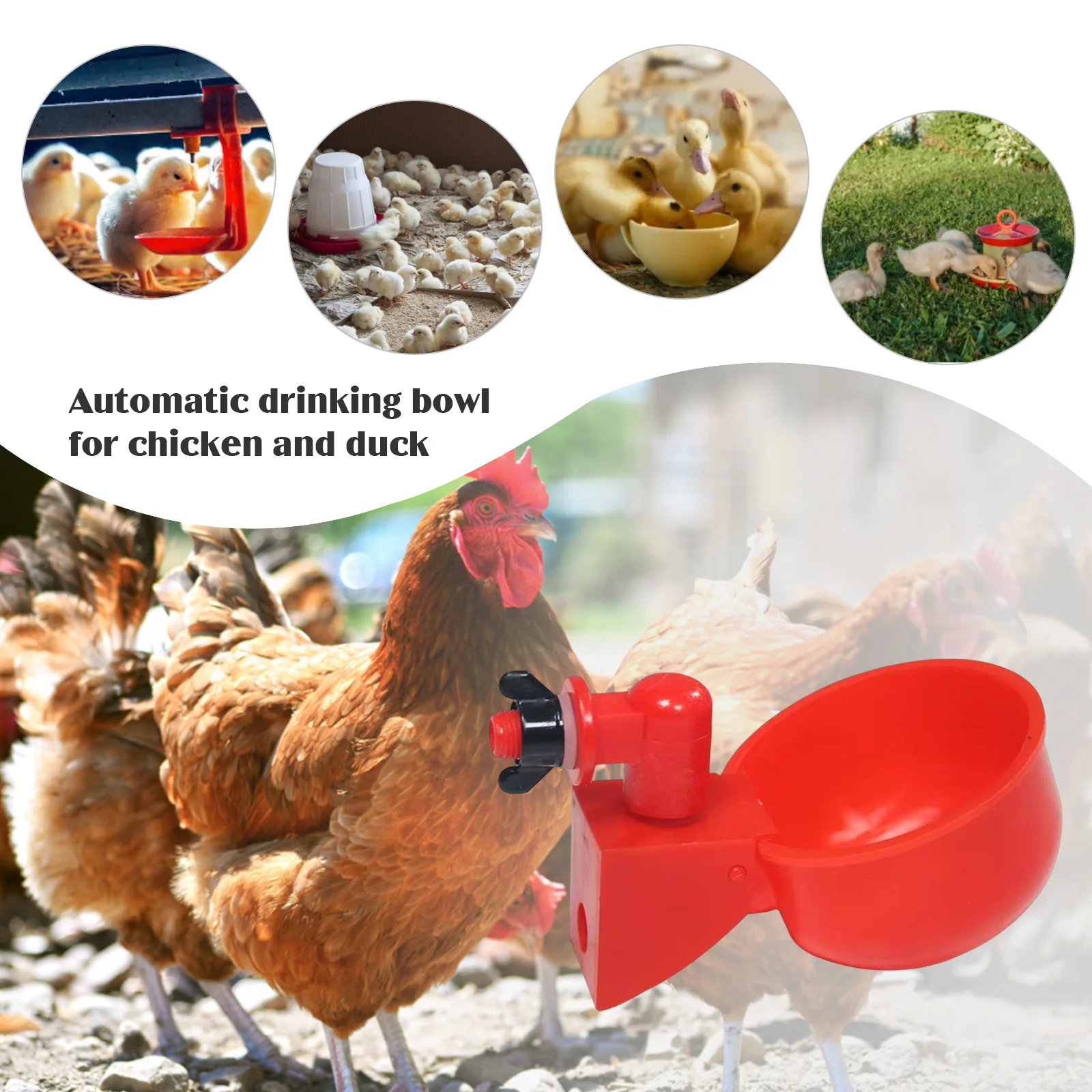 Gobelet à boire en plastique j - Chicken Nipple Drinker avis et prix