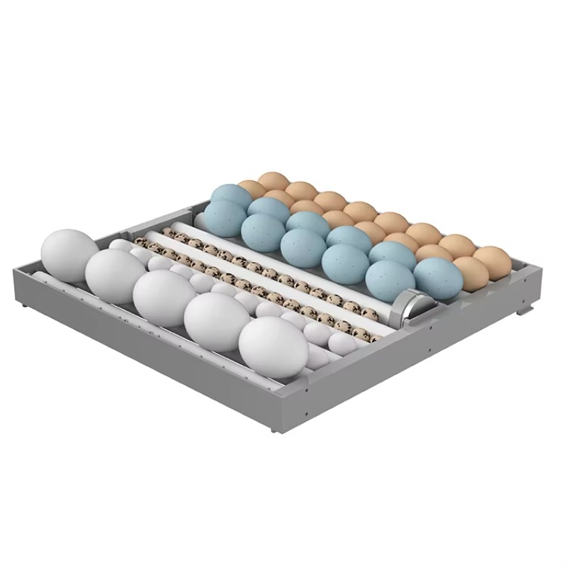 Incubateur intelligent 7 couch - Poultry Incubator avis et prix