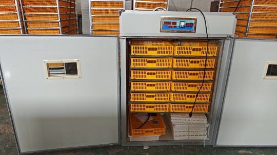 Grande machine d'incubation d' - Poultry Incubator avis et prix