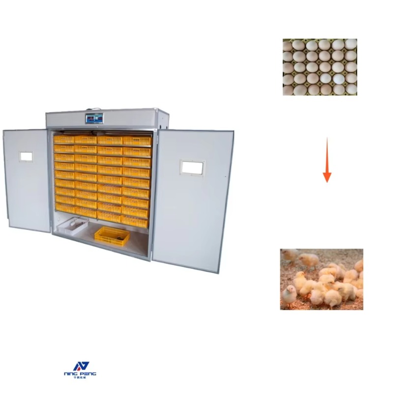 Incubateur d'œufs de volaille  - Poultry Incubator avis et prix
