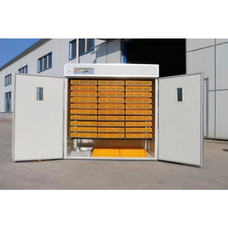 Incubateur d'œufs de volaille  - Poultry Incubator avis et prix