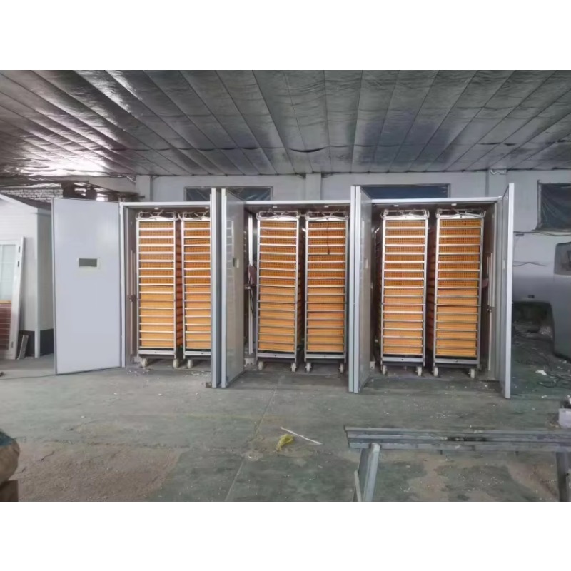 Incubateur d'œufs de volaille  - Poultry Incubator avis et prix