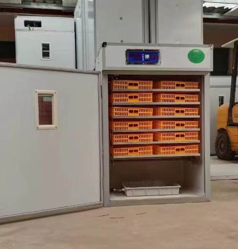 Incubateur d'œufs de poulet au - Poultry Incubator avis et prix