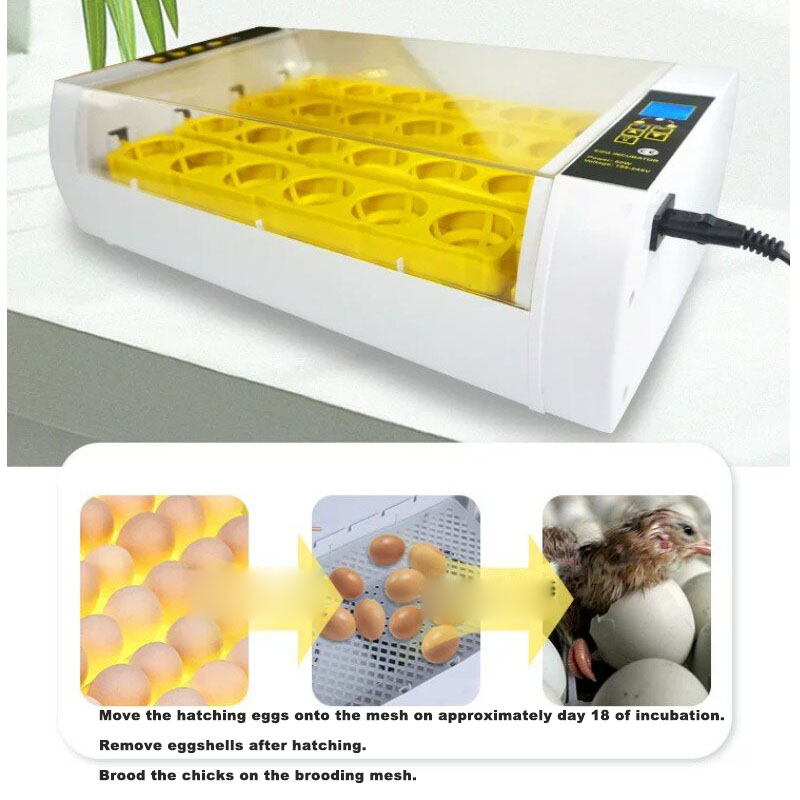 Incubateur d'œufs entièrement  - Poultry Incubator avis et prix
