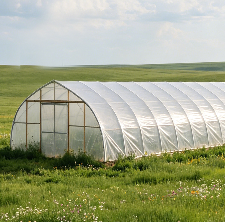 Serre agricole de grande taill - Agriculture Farming Vegetables avis et prix