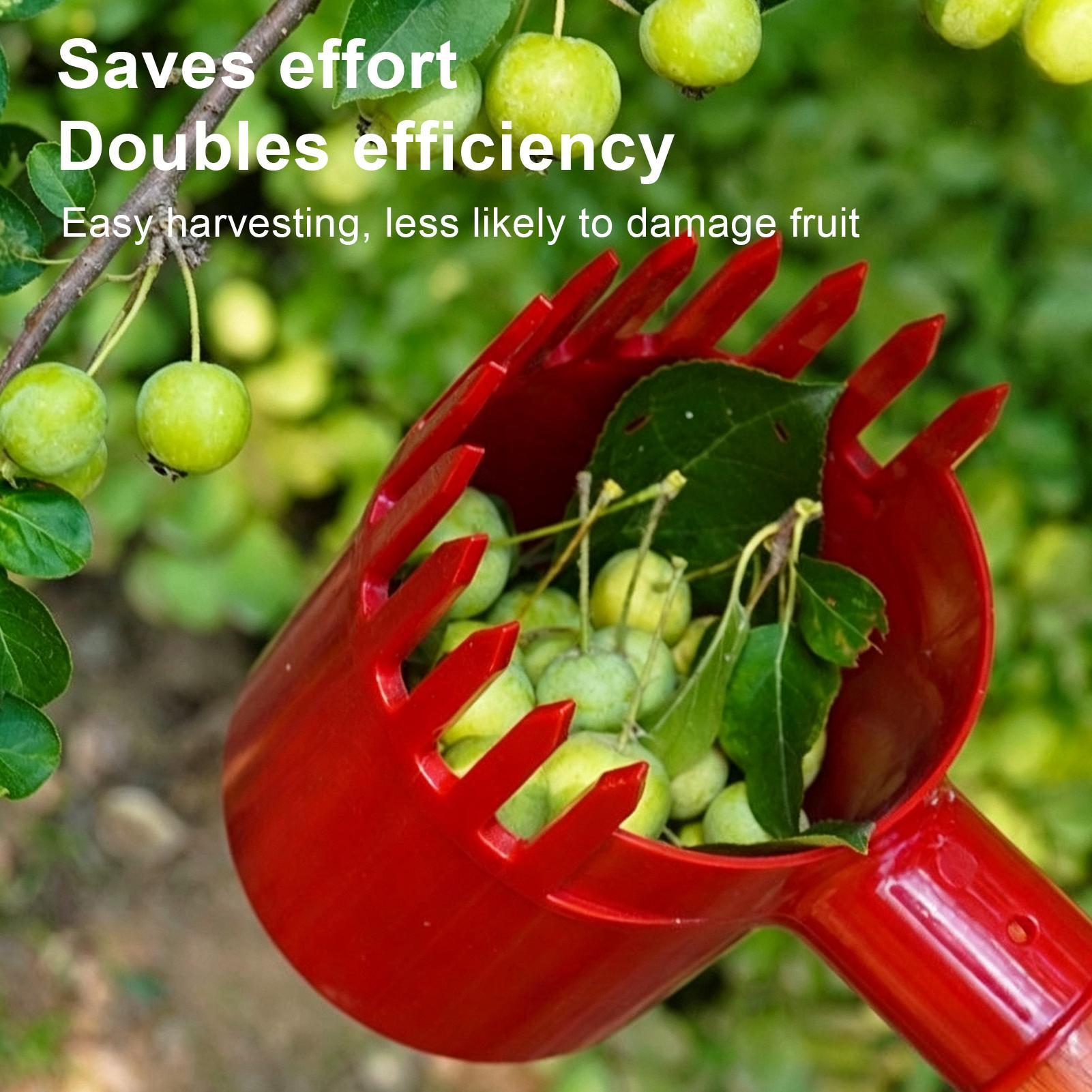 Outil de récolte de fruits en  - Agriculture Farming Tool avis et prix