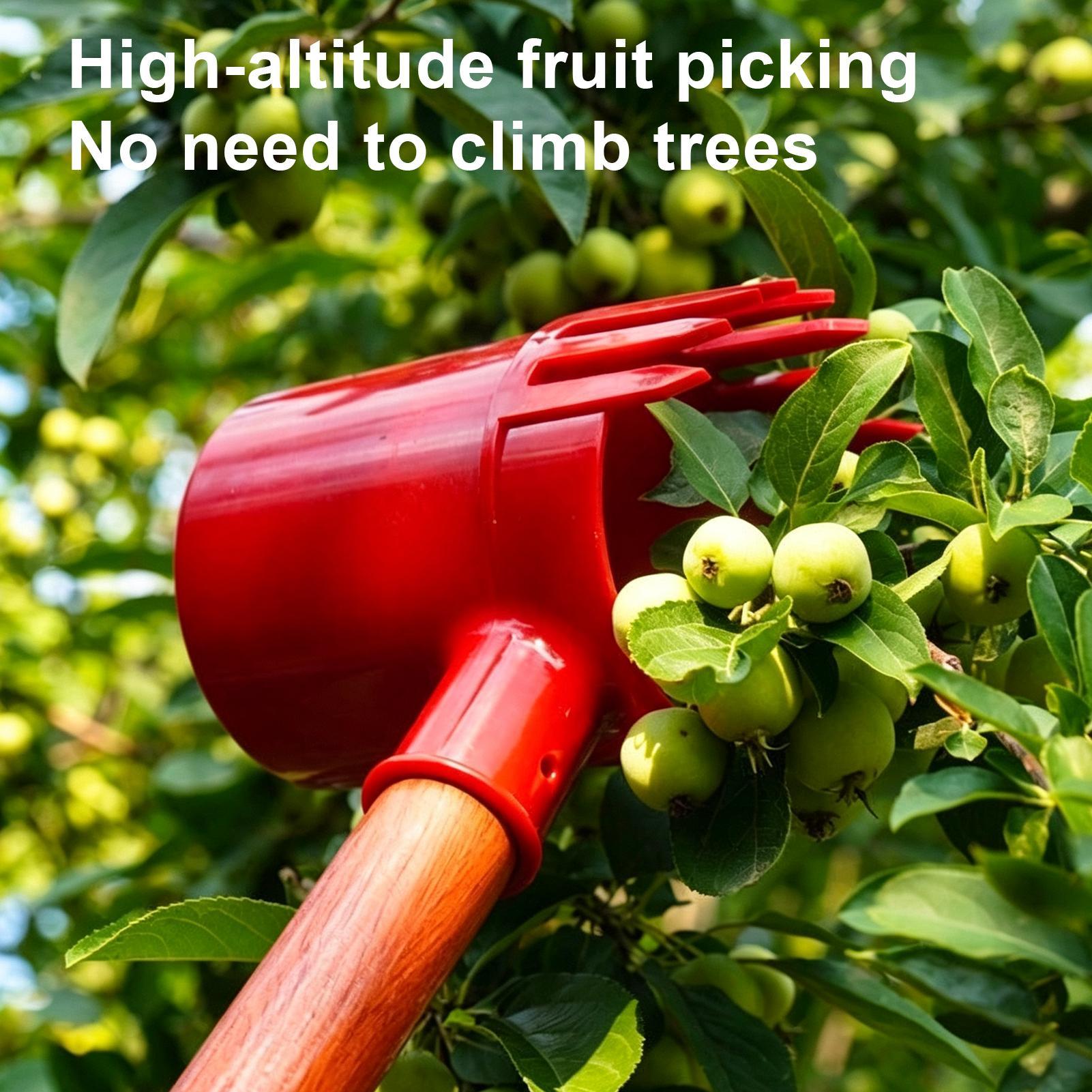 Outil de récolte de fruits en  - Agriculture Farming Tool avis et prix