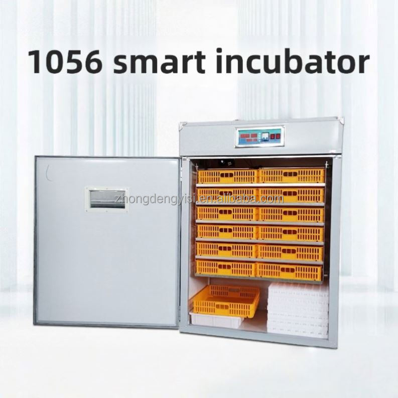 Incubateur à œufs de grande ca - Poultry Incubator avis et prix