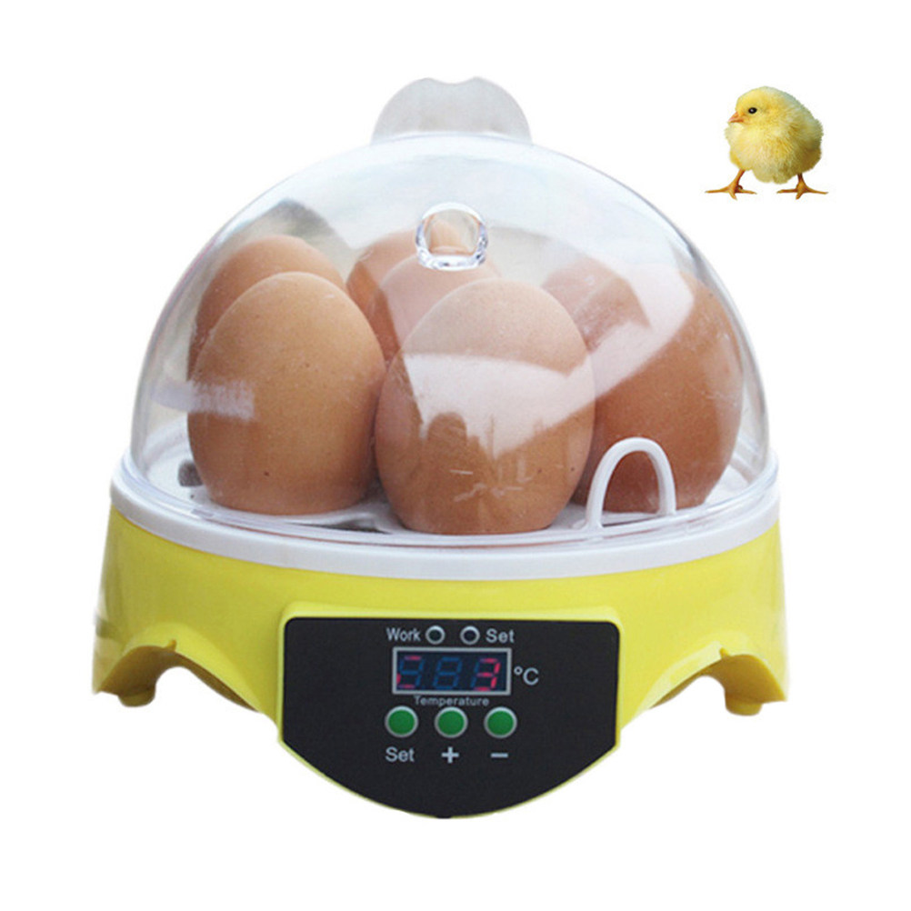 Incubateur à 7 œufs, semi-auto - Poultry Incubator avis et prix