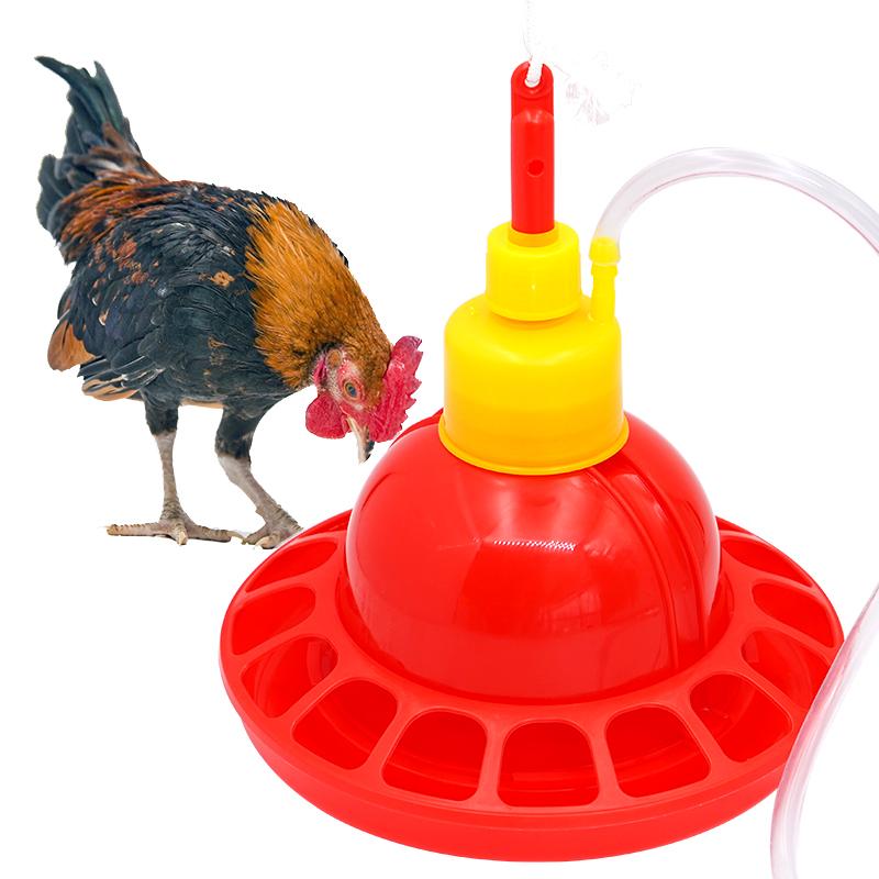 1 ensemble poulet canard oie g - Chicken Nipple Drinker avis et prix