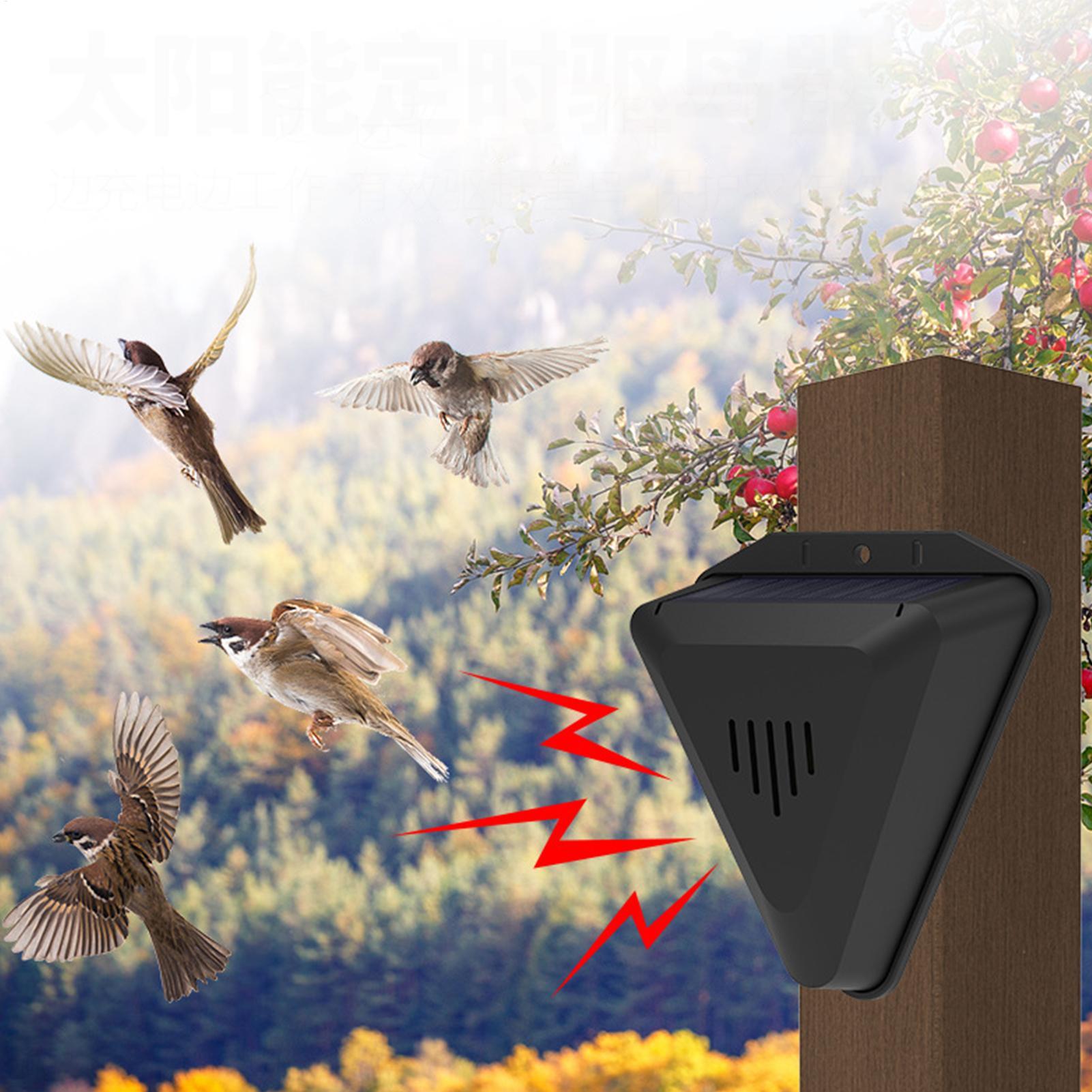 Répulsif solaire étanche pour  - Solar Bird Scarer avis et prix