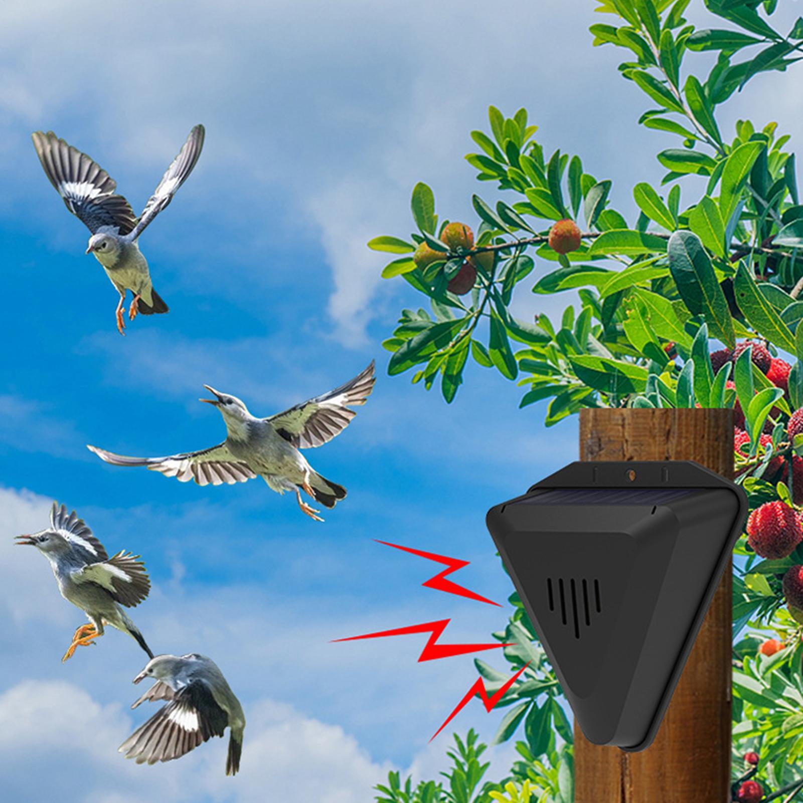 Répulsif solaire étanche pour  - Solar Bird Scarer avis et prix