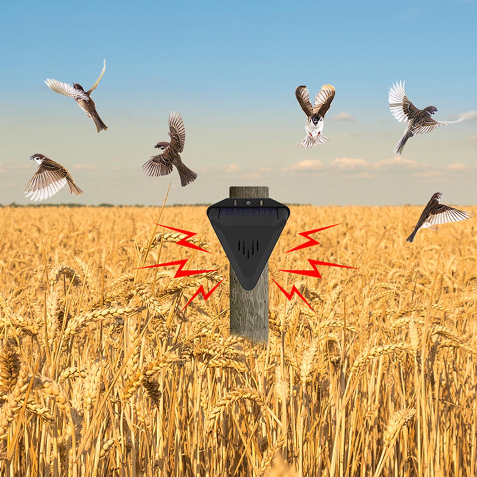 Répulsif solaire étanche pour  - Solar Bird Scarer avis et prix