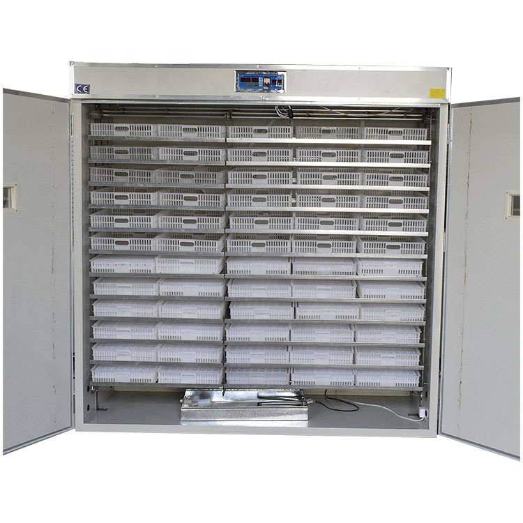 Incubateurs solaires entièreme - Poultry Incubator avis et prix