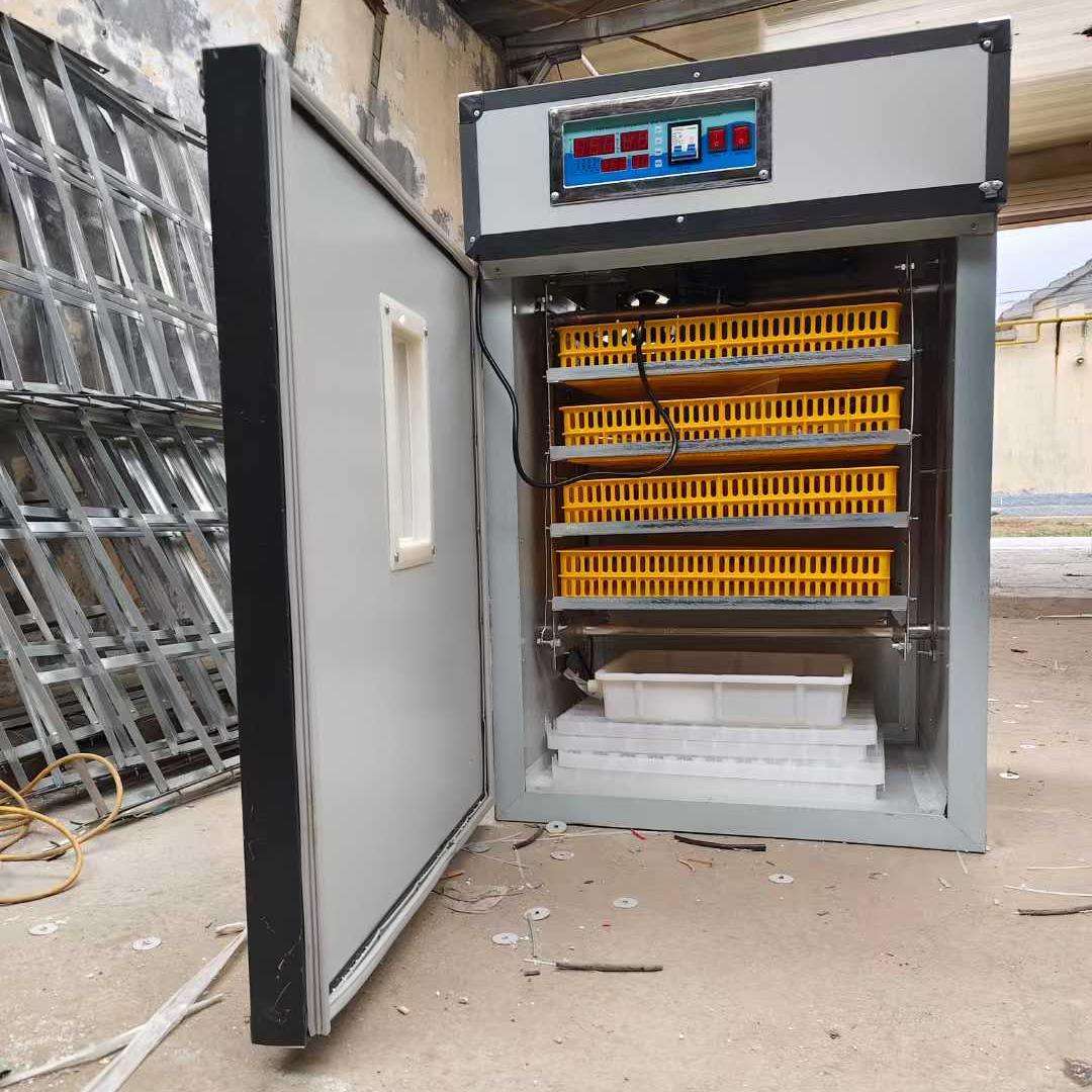 Incubateur automatique avec co - Poultry Incubator avis et prix