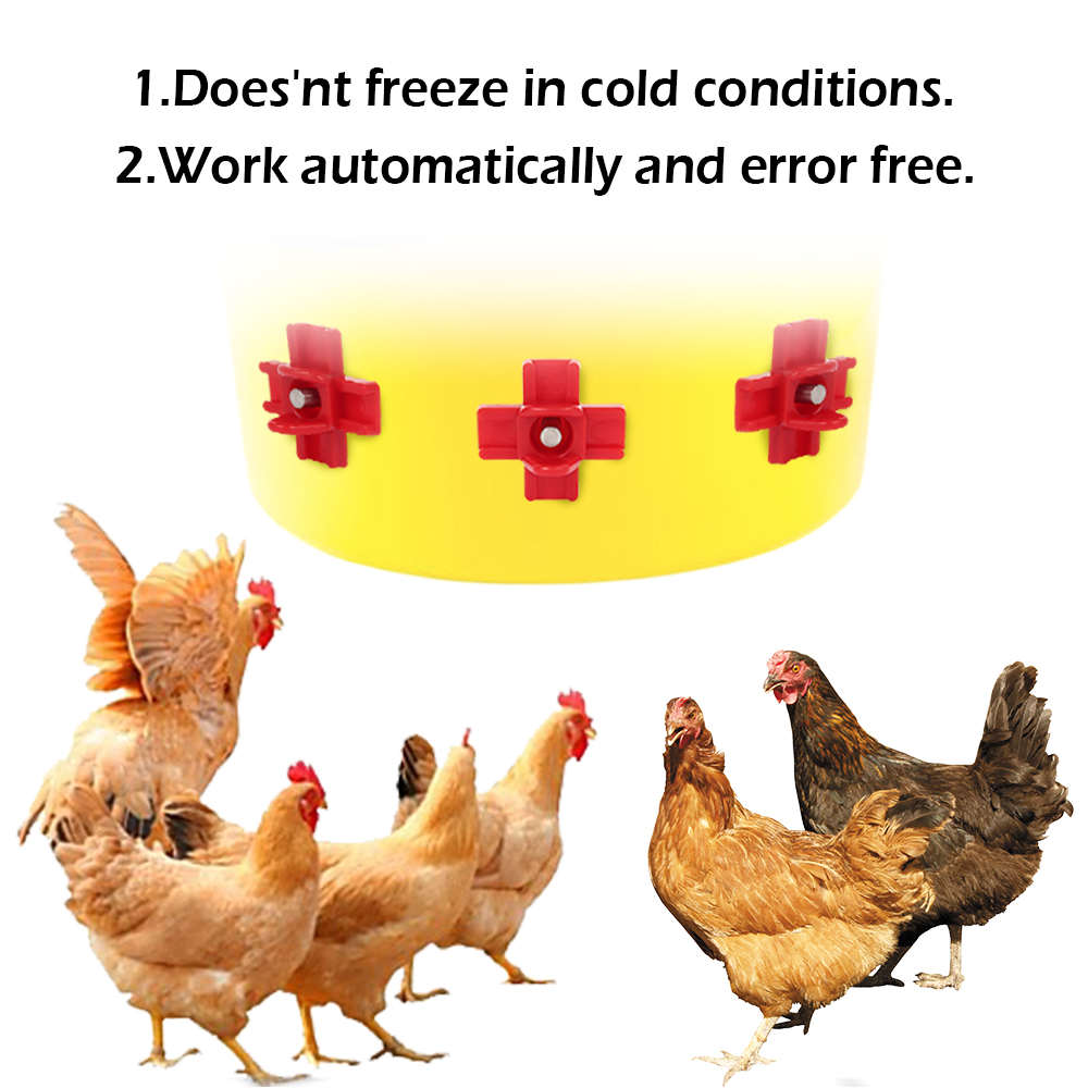 Abreuvoir automatique jetable  - Chicken Nipple Drinker avis et prix