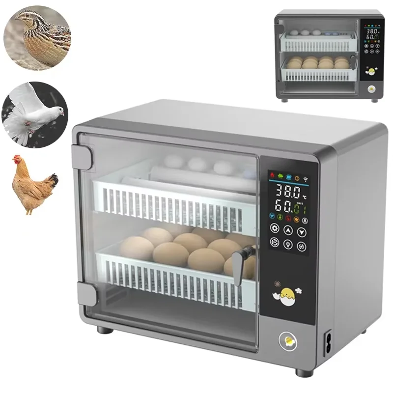 Incubateur d'œufs automatique  - Poultry Incubator avis et prix
