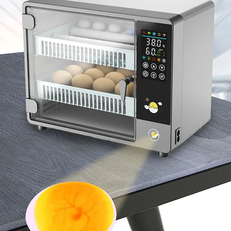 Incubateur d'œufs automatique  - Poultry Incubator avis et prix