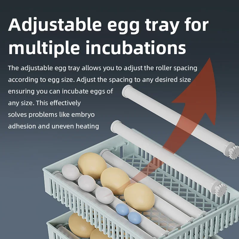 Incubateur d'œufs automatique  - Poultry Incubator avis et prix