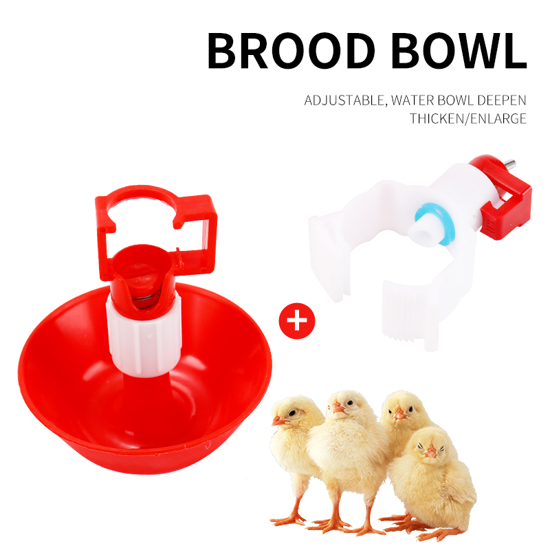 Abreuvoir automatique jetable  - Chicken Nipple Drinker avis et prix