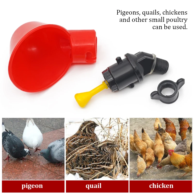 6-36 pièces poulet caille susp - Chicken Nipple Drinker avis et prix