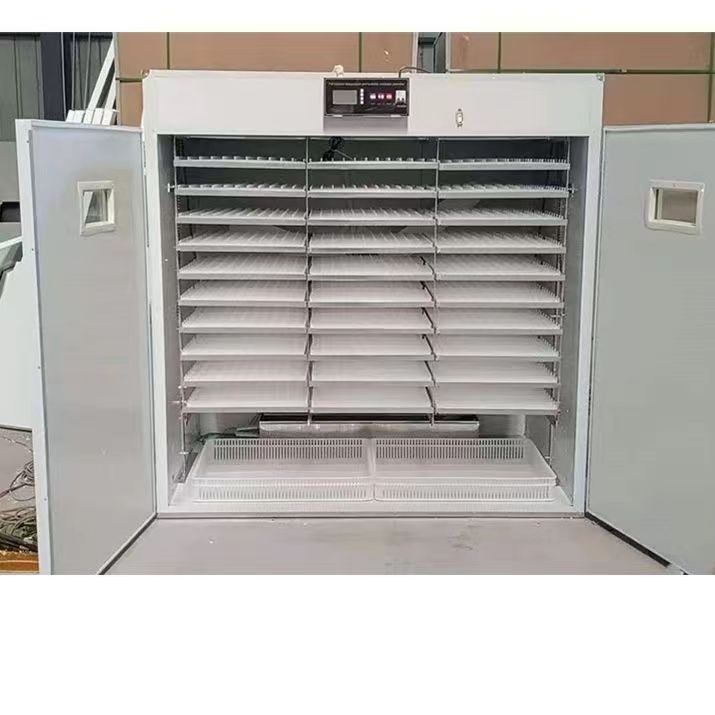 Incubateur d'oeufs automatique - Poultry Incubator avis et prix