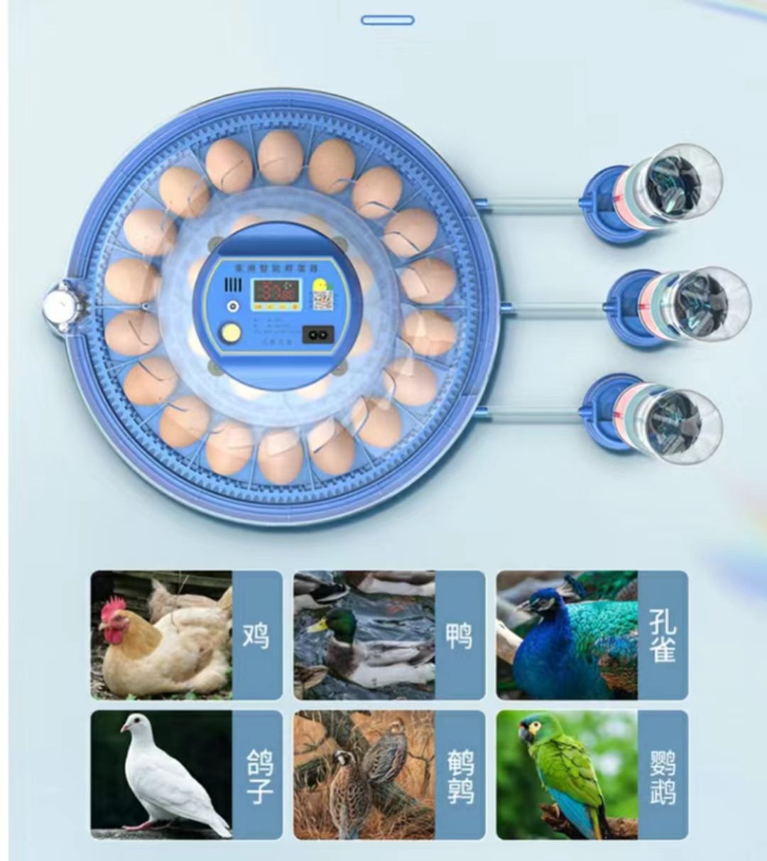 Incubateur d'œufs de poulet 20 - Poultry Incubator avis et prix